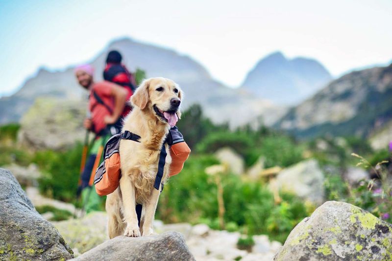 Outdoor Exploration
