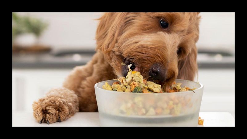 Nutritional Meals