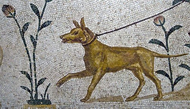 Ancient Roman Fields of Asphodel