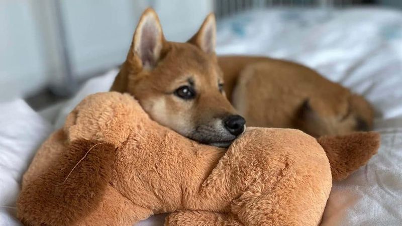 Lack of Comfort Items