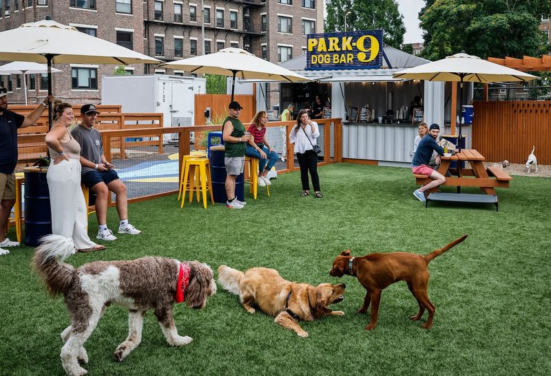 Social Connections Through Parks