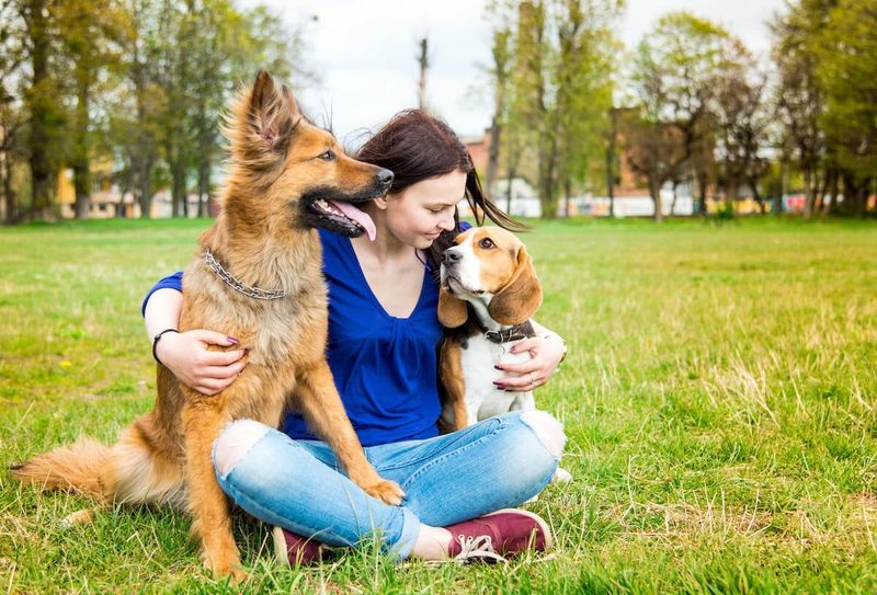 Myth 10: Senior Dogs Should Be Left Alone