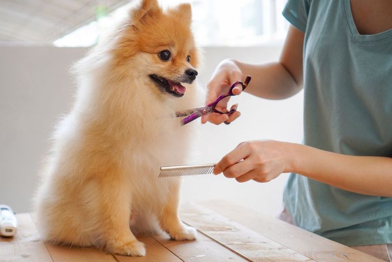 Overlooking Grooming Needs