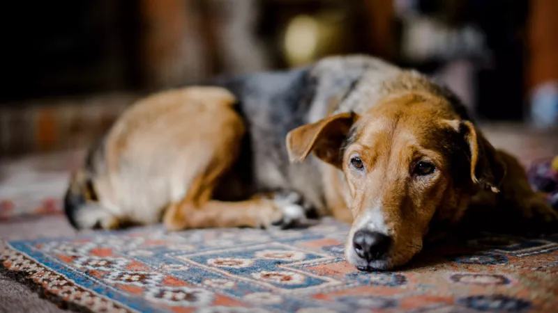 Misreading Signs of Grief