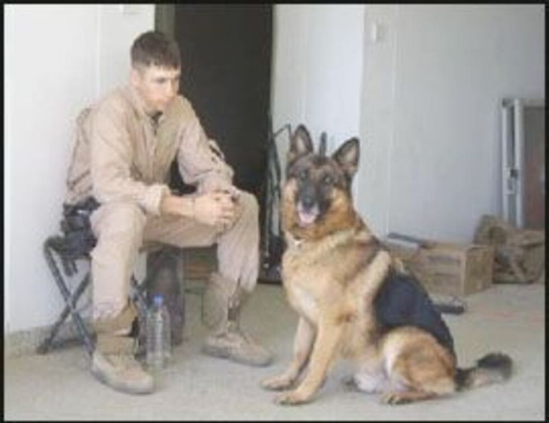Lex the War Veteran