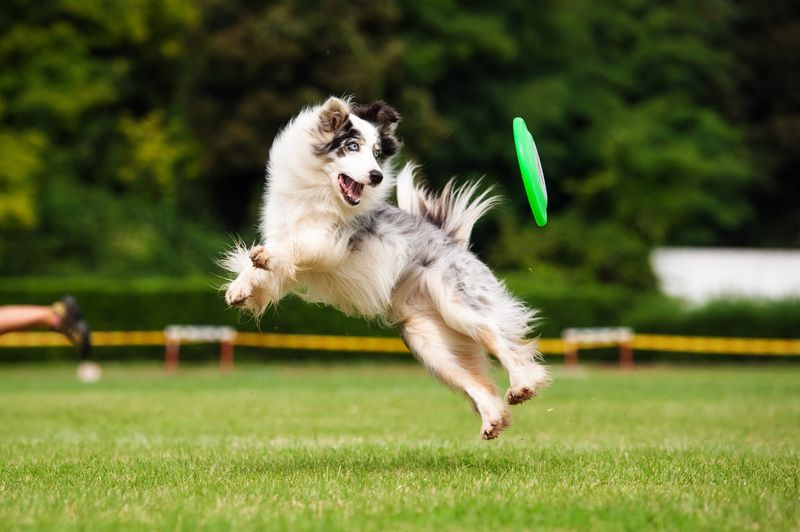 Underestimating Exercise Needs