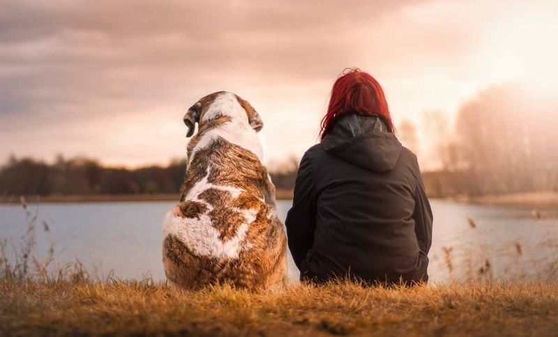 Enhanced Empathy