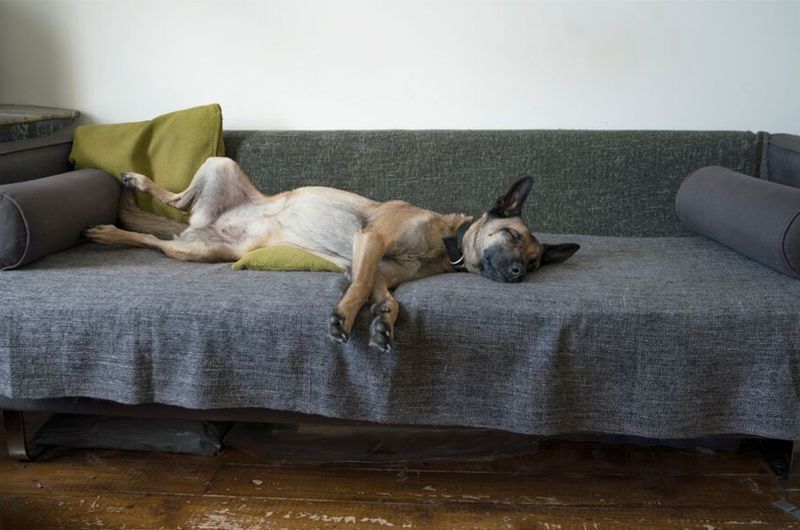 Relaxed Body Language