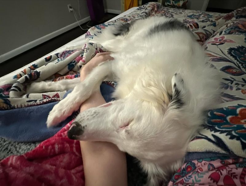 Sleeping Close To You