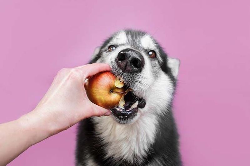 Apples