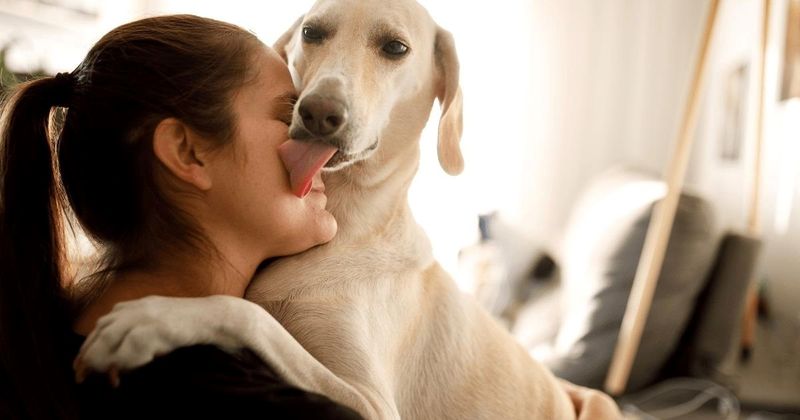 Excessive Licking