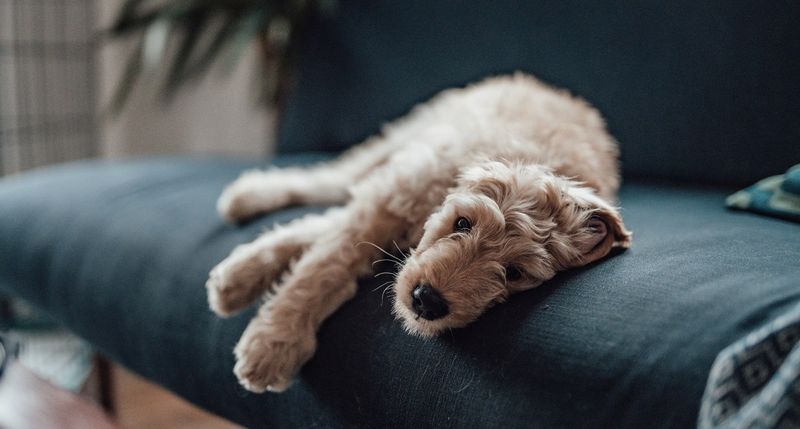 Ignoring Signs of Depression