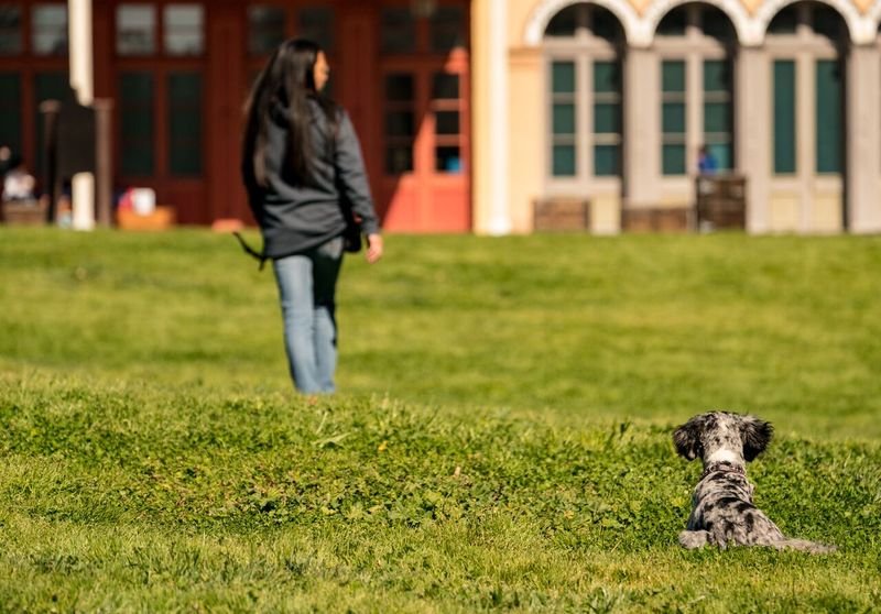 Ignoring Bad Behavior