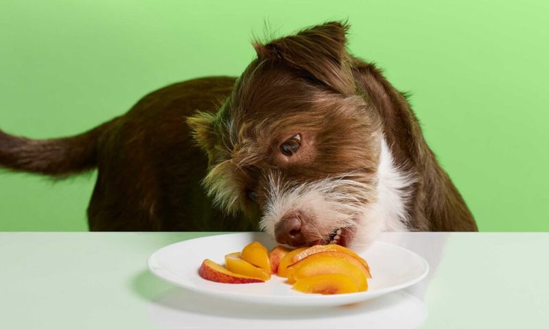 Peaches