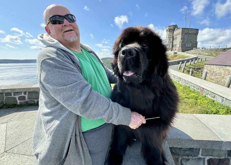 Newfoundland