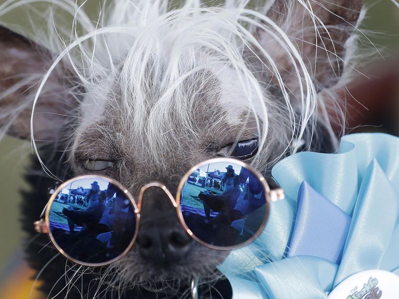 Baffled by Sunglasses