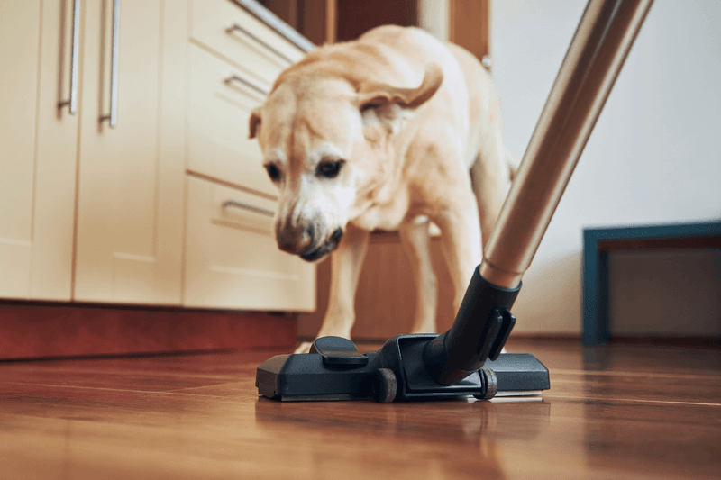 Confounded by Vacuum Cleaners