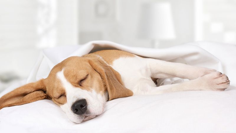 Lethargy and Fatigue