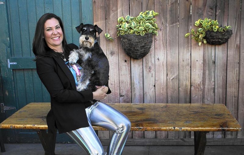 Career Inspiration from Canine Companionship