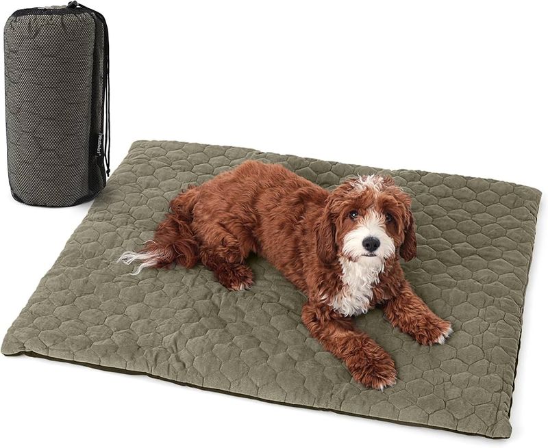 Portable Dog Bed