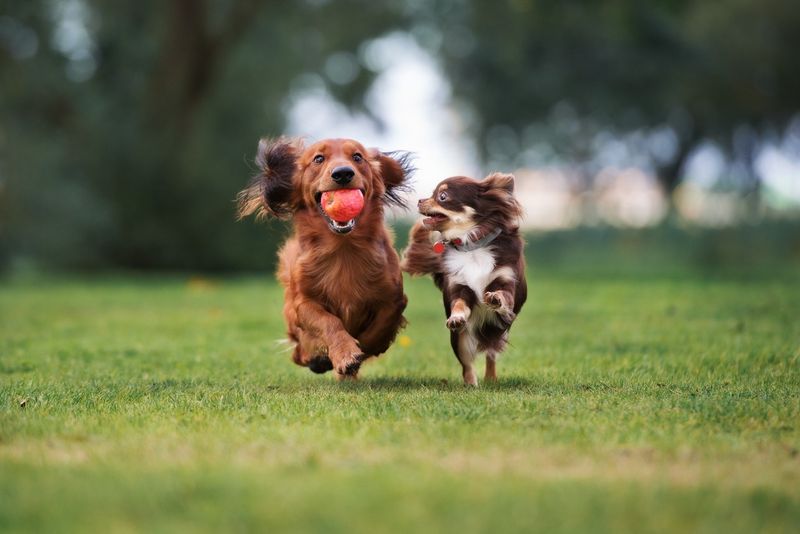 Playing Together Outdoors