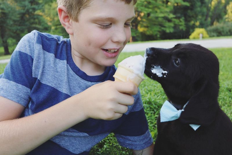 Ice Cream