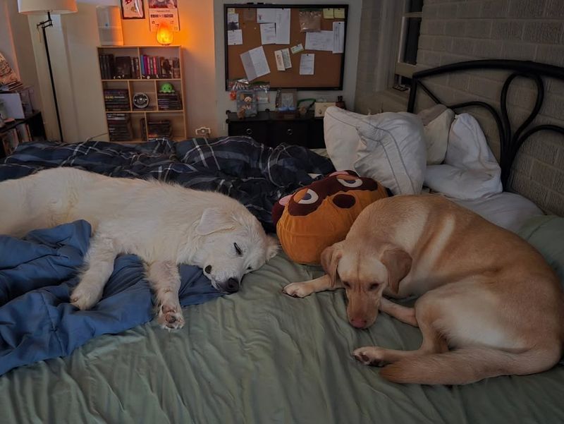 Sleeping by Your Side