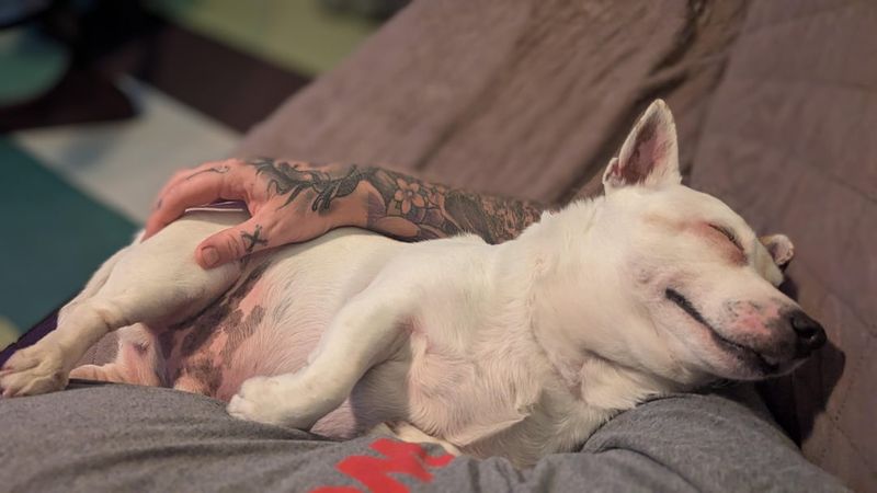 Contented Naps