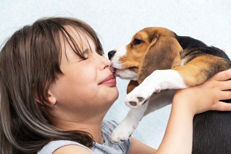 Gentle Licks of Affection