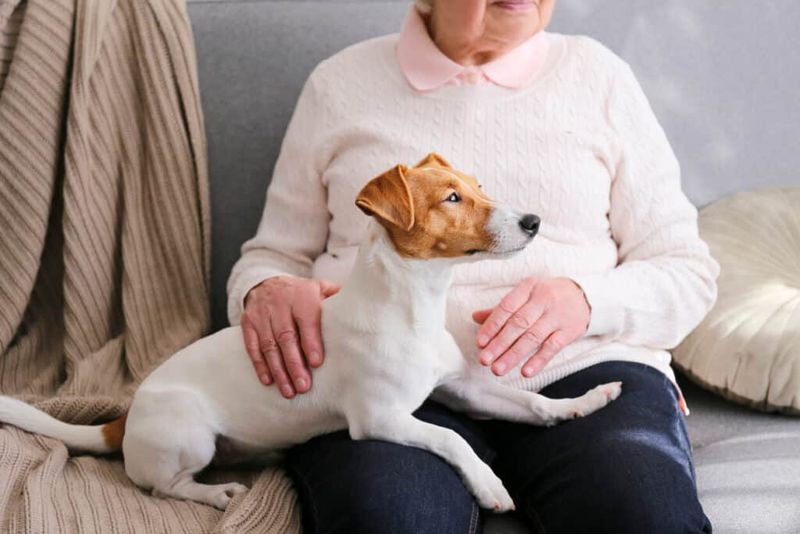 Silent Sitting Companions