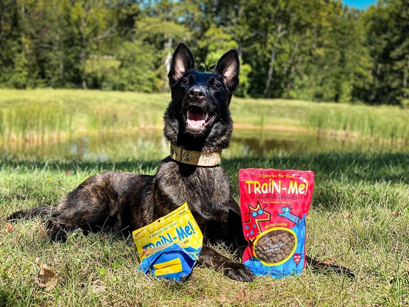 Training With Treats