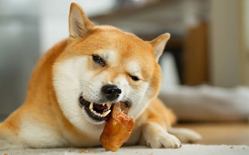 Delicious Treats