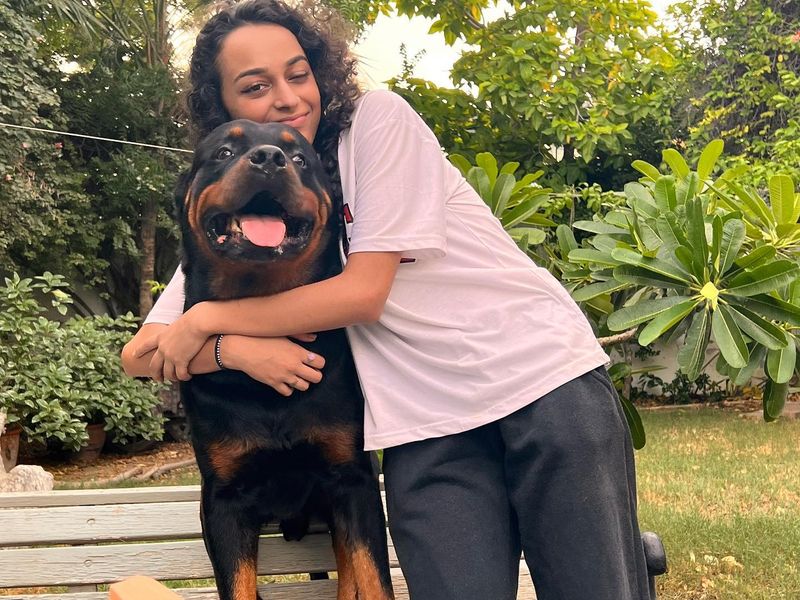 Rottweiler