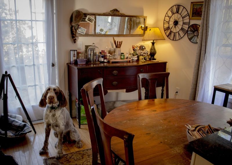 Crowded Living Spaces