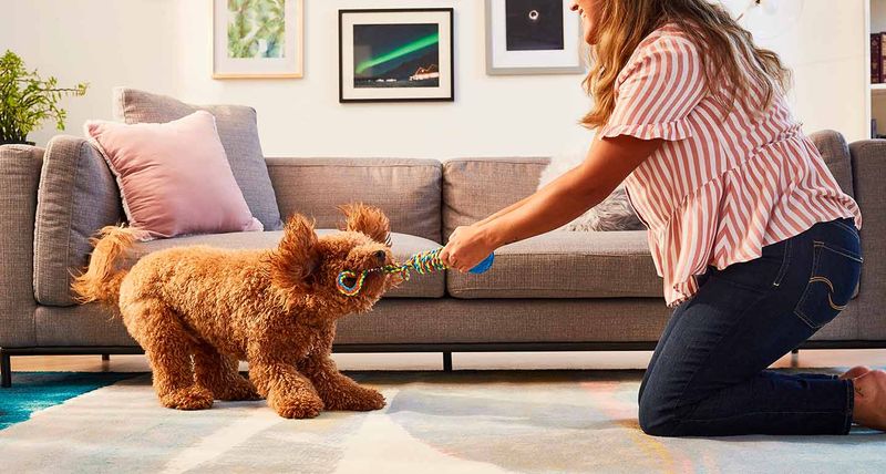 Interactive Play