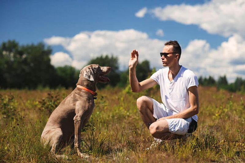 Hand Gestures