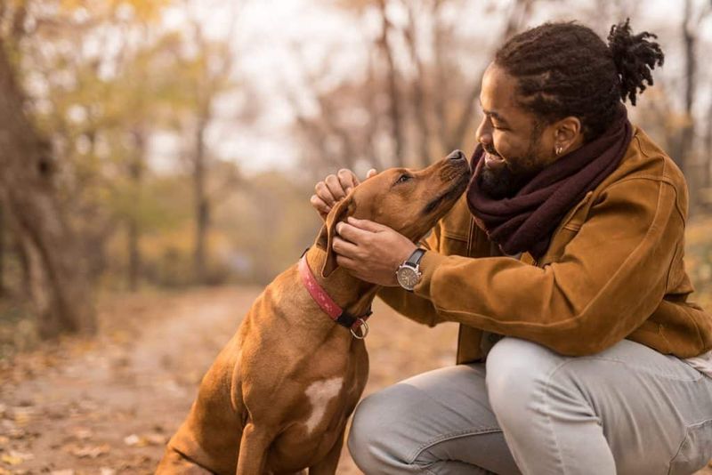 Building a Strong Human-Pet Bond