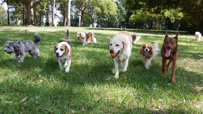 Socialization Matters