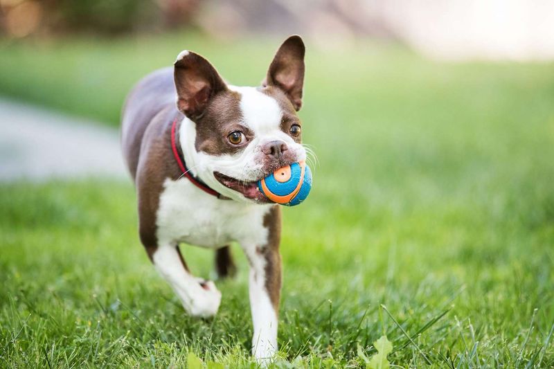 Exercise and Play