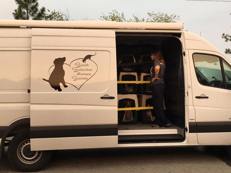 Lend a Hand with Transport