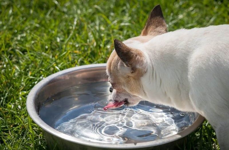 Hydration