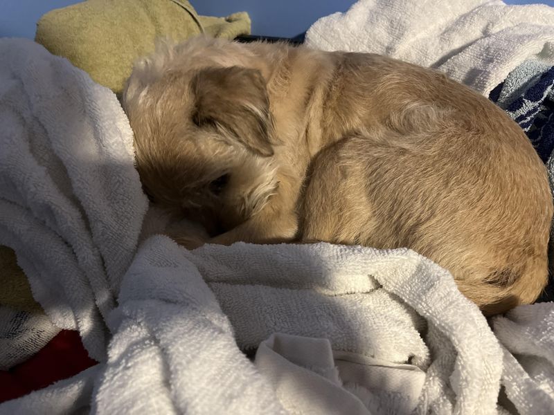 Sleeping on Your Clothes