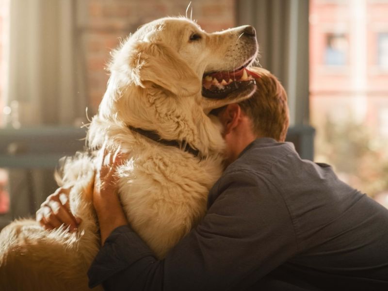 Joyful Reunion