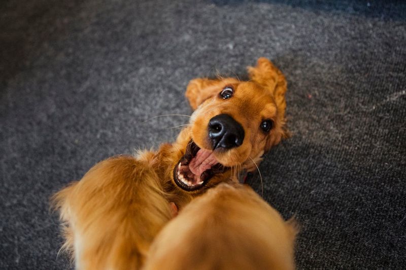 Excited Greetings