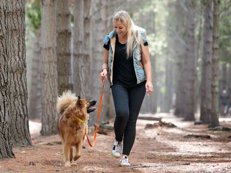 Cheerful Walks