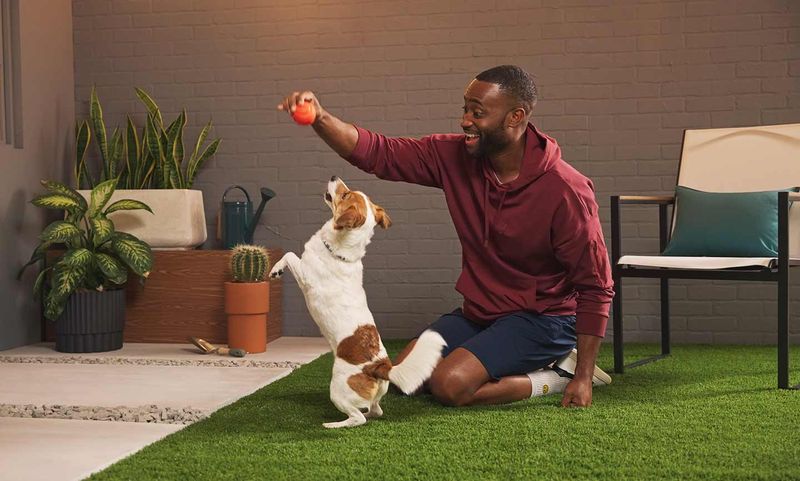 Playful Engagement