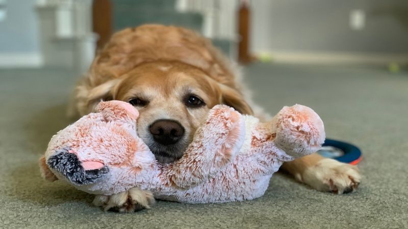 Offer Reassurance with Toys