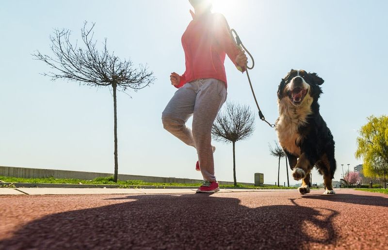 Engaging in Physical Activities