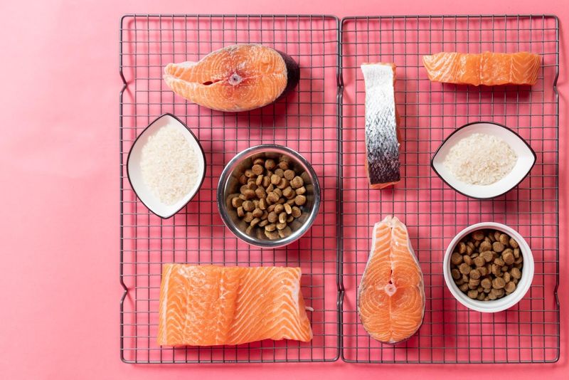 Salmon