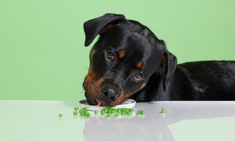 Peas
